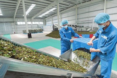 山西:校企聯(lián)合促發(fā)展