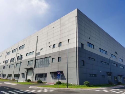 長(zhǎng)生不老丹 風(fēng)頭正勁, 新老年人 開始過(guò)上 潮生活