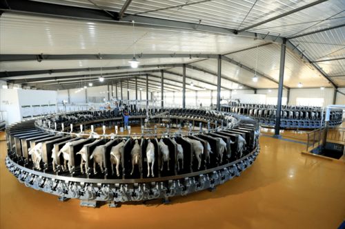 和林格爾縣 黨建引領(lǐng) 多元驅(qū)動 打好產(chǎn)業(yè)發(fā)展 組合拳